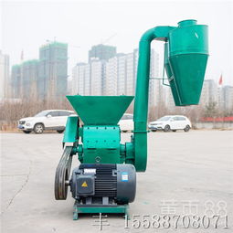 上海畜牧渔业饲料销售市场 机遇、挑战与发展趋势