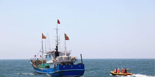 开捕喜讯 江苏海洋渔业资源好转 启东渔民捕获大黄鱼售价1.8万 畜牧渔业饲料销售迎新契机