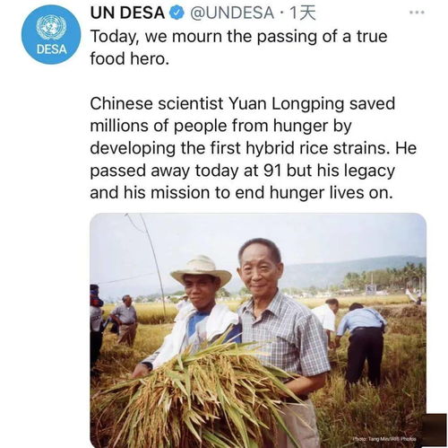 外媒和网友纷纷悼念袁隆平 谢谢您，喂养了我们的世界