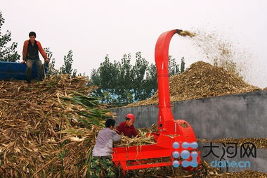 投资6亿办教育，打造畜牧业名片——记者走访泌阳探寻乡村振兴新路径