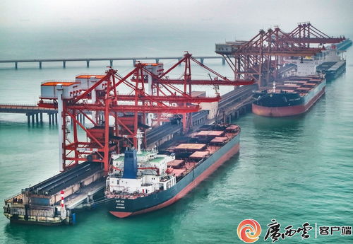 广西钢铁集团 以高品质产品通过多项国际认证，助力畜牧渔业饲料销售