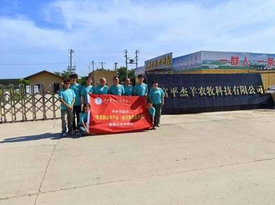 畜牧渔业饲料销售 构建高效、绿色与可持续的现代养殖基石